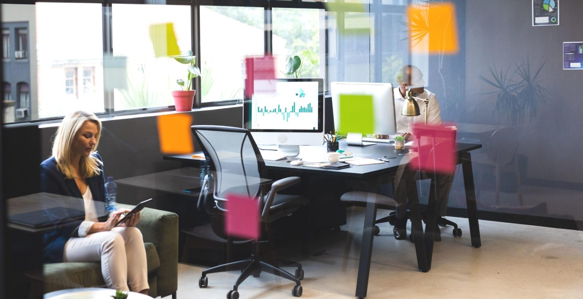 Praktische Demonstration von Linkbuilding-Techniken